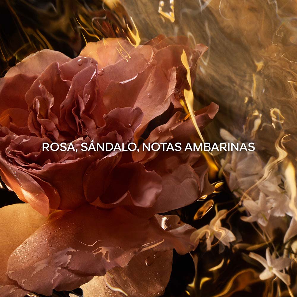 ABSOLUS ALLEGORIA SANTAL ROYAL EAU DE PARFUM